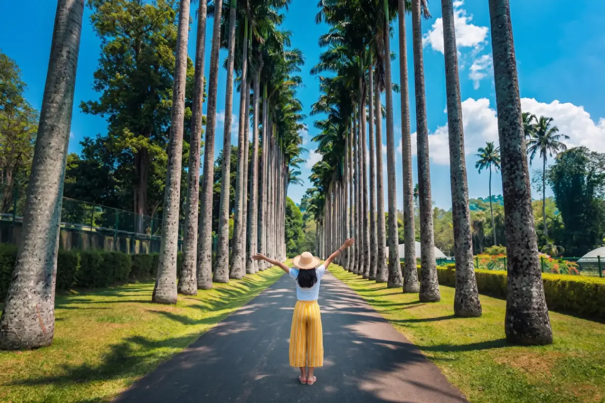 Royal Botanical Gardens, Peradeniya near Kandy