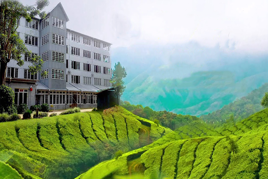 Ceylon Tea Museum